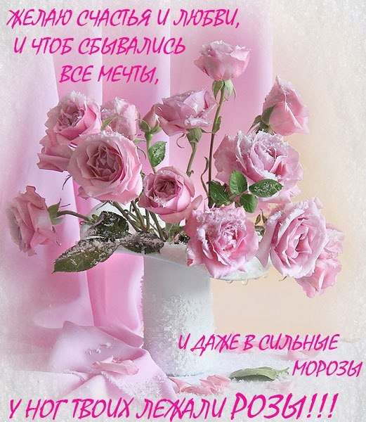 �������� � ����� ������ �� ���� ��������