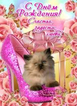 Персидский котенок в розовой туфле